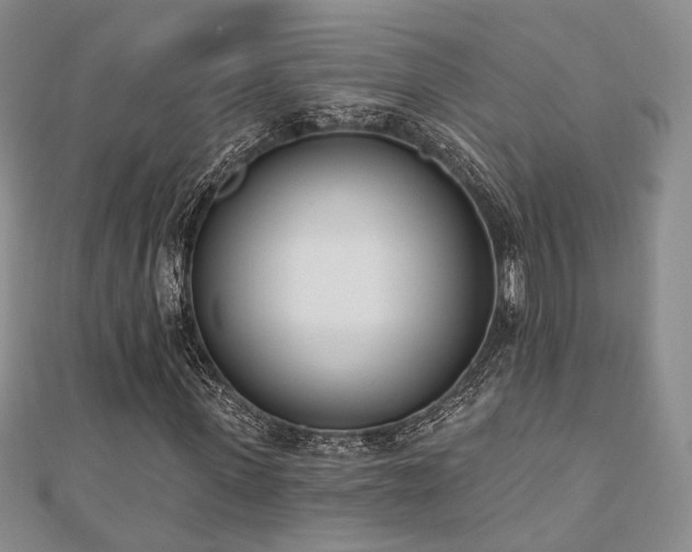 X0000110740915200906151100