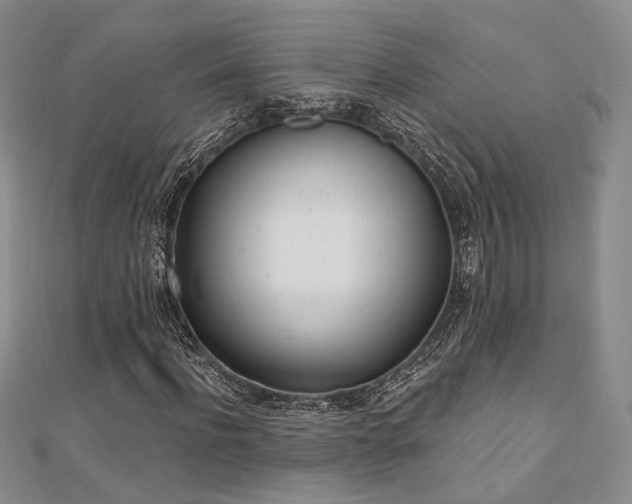 X0000110740916200906151100