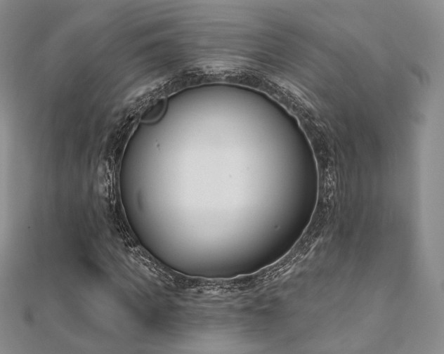 X0000110740917200906151100