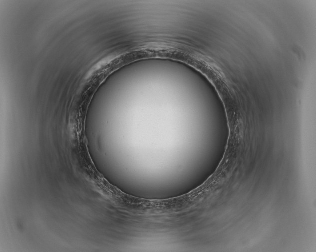 X0000110740920200906151100