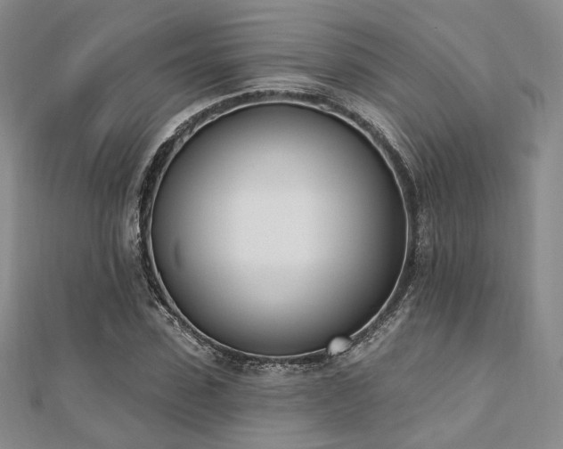 X0000110740923200906151100