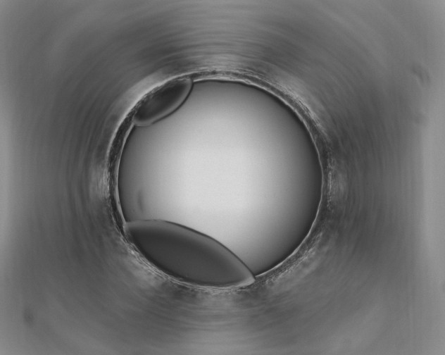 X0000110740924200906151100