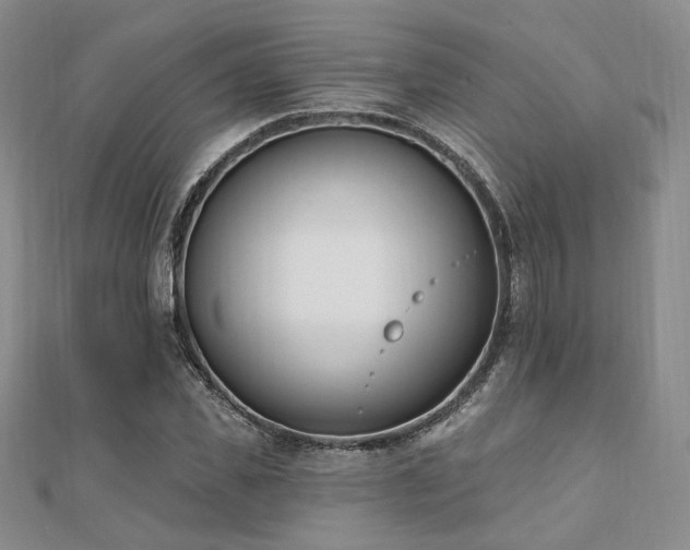 X0000110740925200906151100