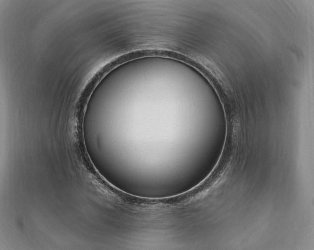 X0000110740926200906151100