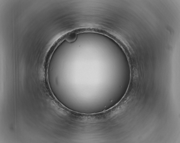 X0000110740927200906151100