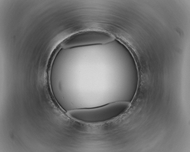 X0000110740928200906151100
