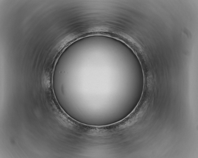 X0000110740929200906151100