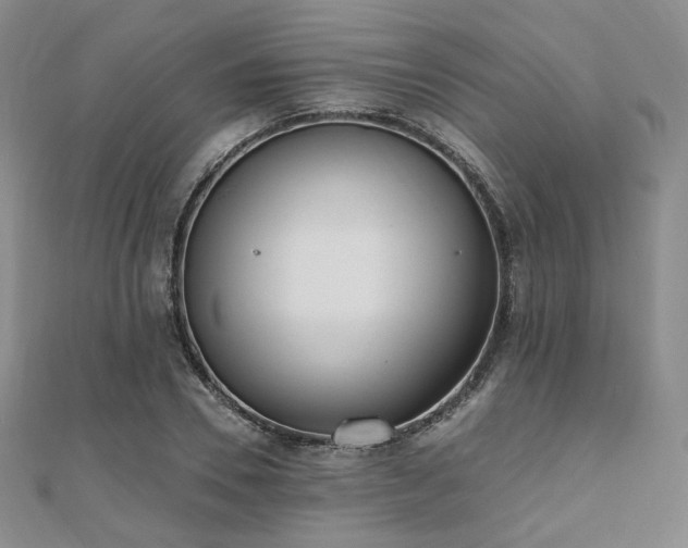 X0000110740930200906151100
