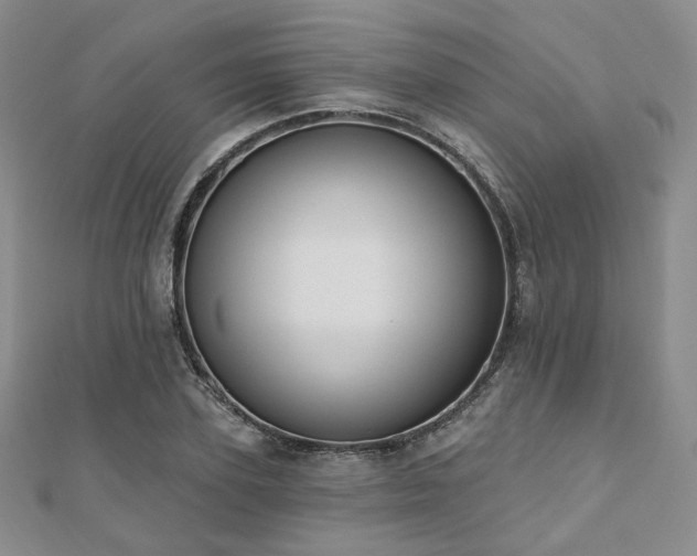 X0000110740931200906151100