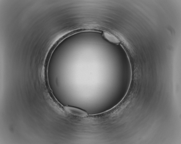 X0000110740932200906151100