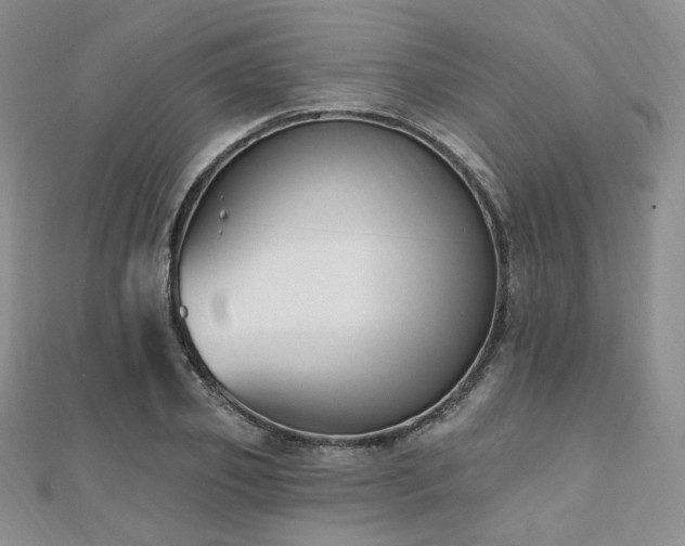 X0000110740933200906151100