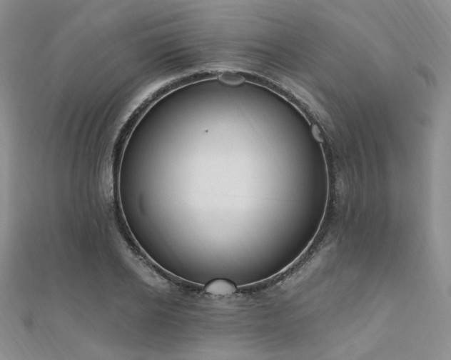 X0000110740934200906151100