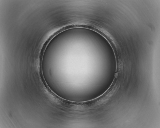 X0000110740935200906151101