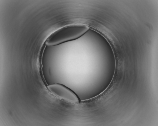 X0000110740936200906151101