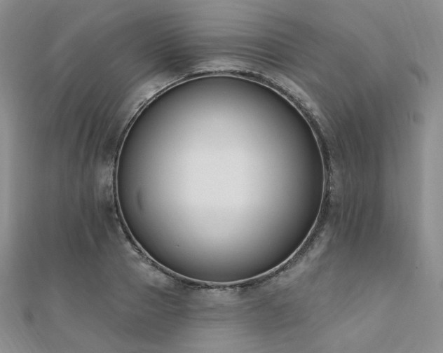 X0000110740937200906151101