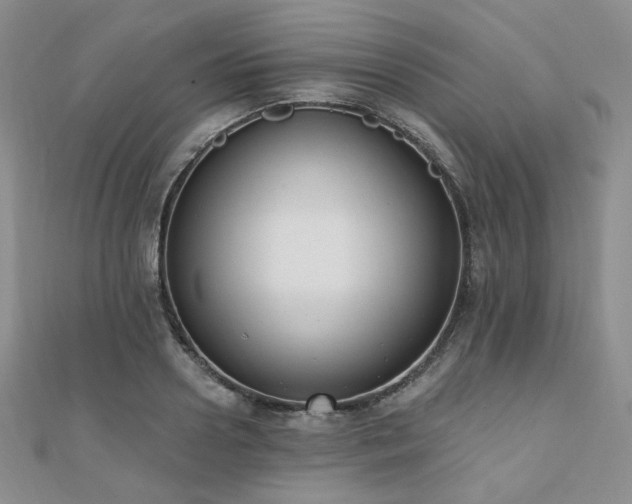 X0000110740938200906151101