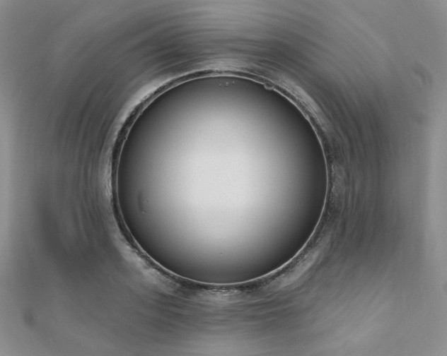 X0000110740939200906151101
