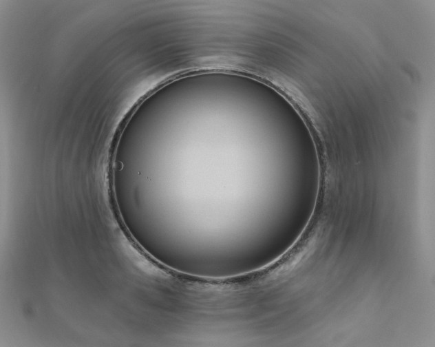 X0000110740941200906151101