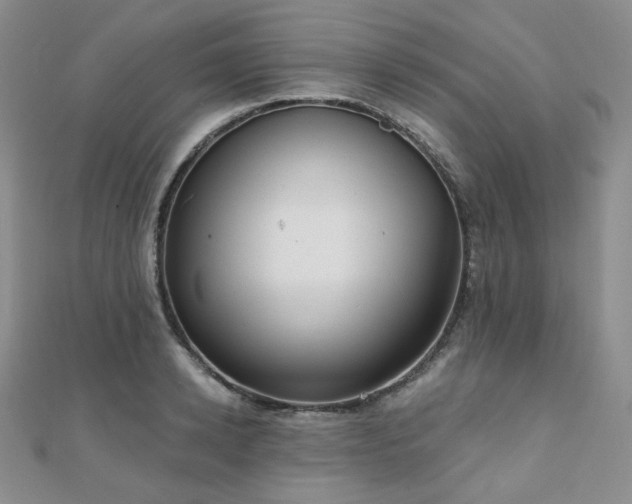 X0000110740942200906151101