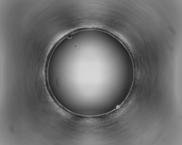 X0000110740943200906151101