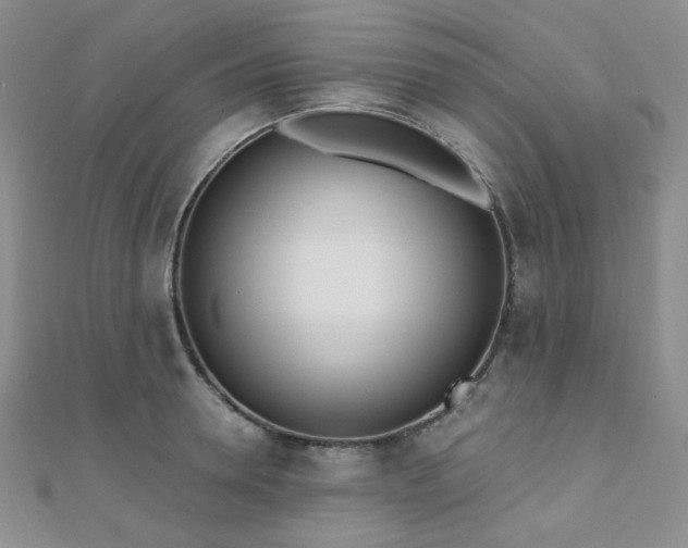 X0000110740946200906151101