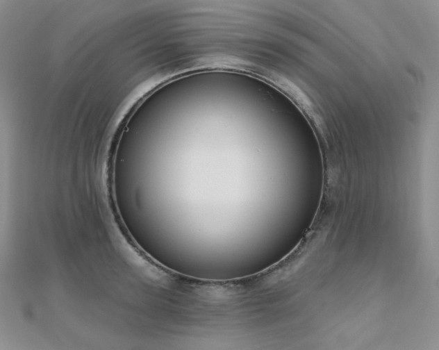 X0000110740947200906151101