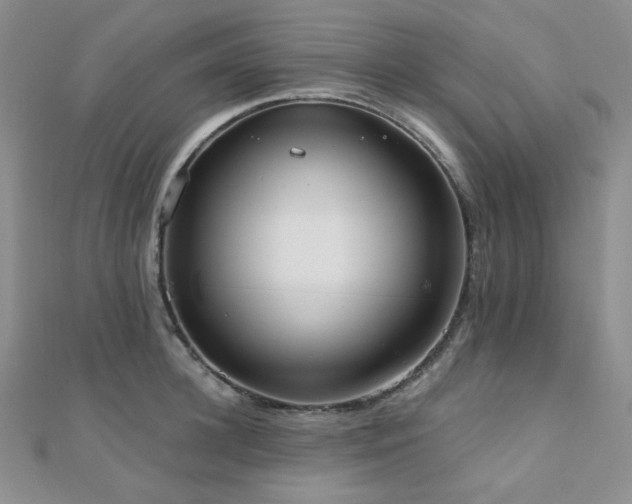 X0000110740948200906151101