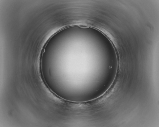 X0000110740949200906151101