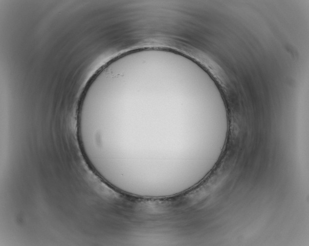 X0000110740950200906151101