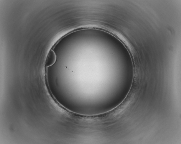 X0000110740951200906151101