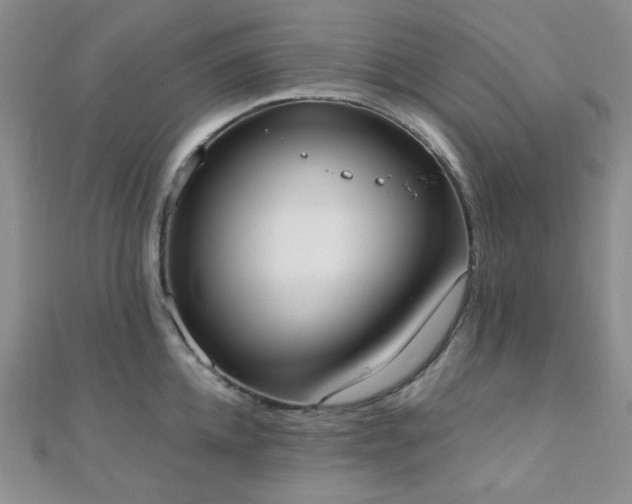 X0000110740952200906151101