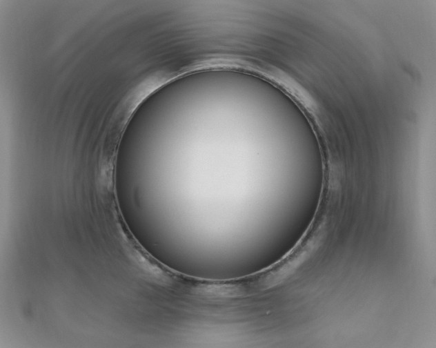 X0000110740953200906151101