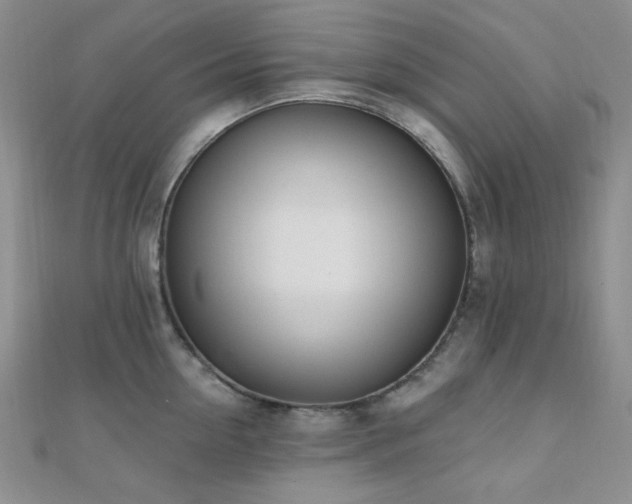 X0000110740954200906151101