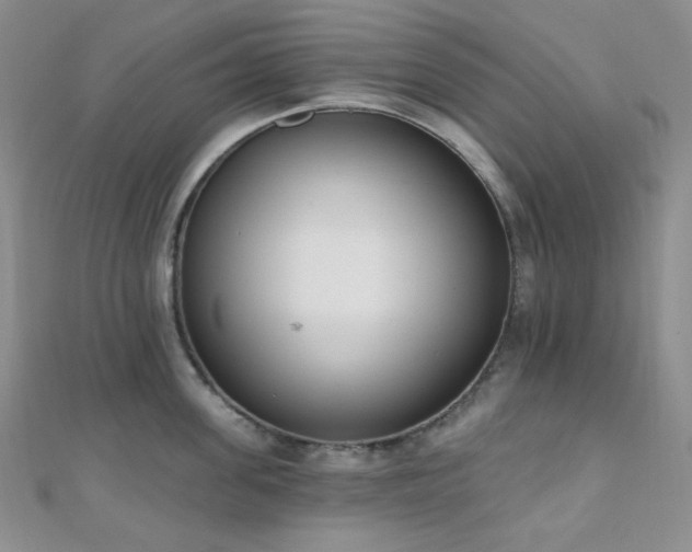 X0000110740955200906151101