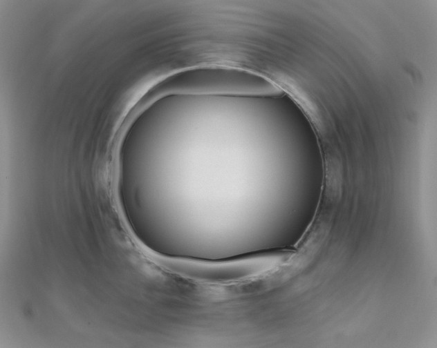 X0000110740956200906151101