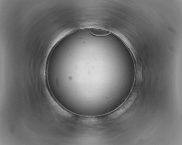 X0000110740957200906151101