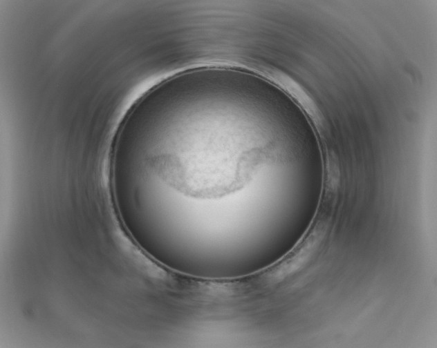 X0000110740958200906151101