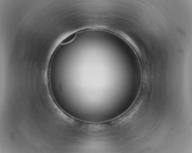 X0000110740959200906151101