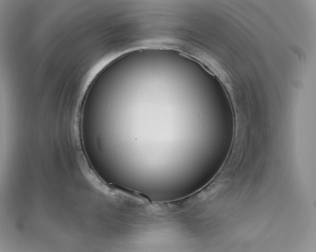 X0000110740960200906151101