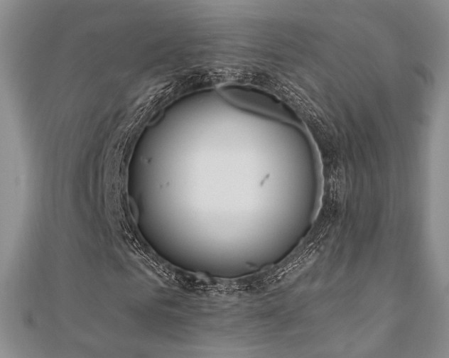 X0000110740961200906151100