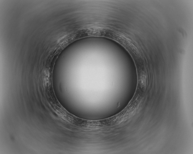 X0000110740964200906151100