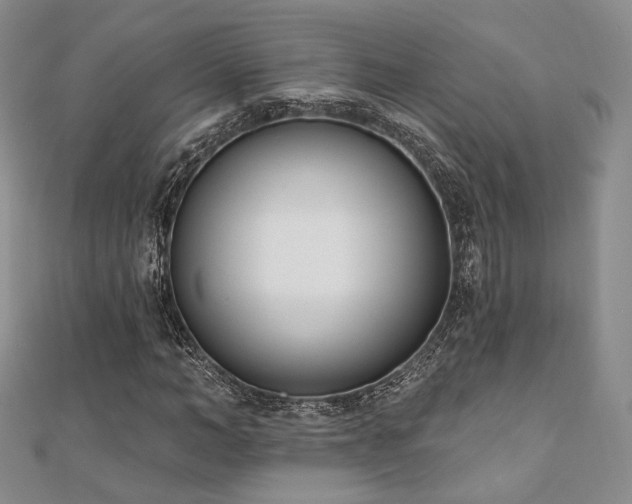 X0000110740966200906151100