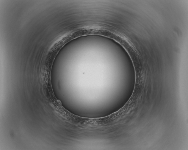 X0000110740967200906151100