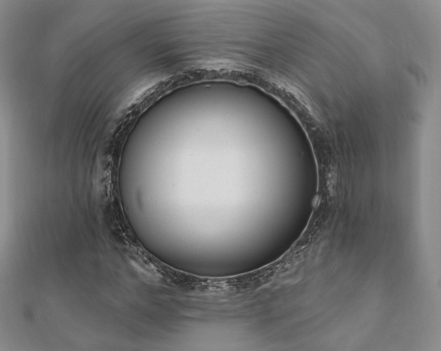 X0000110740968200906151100