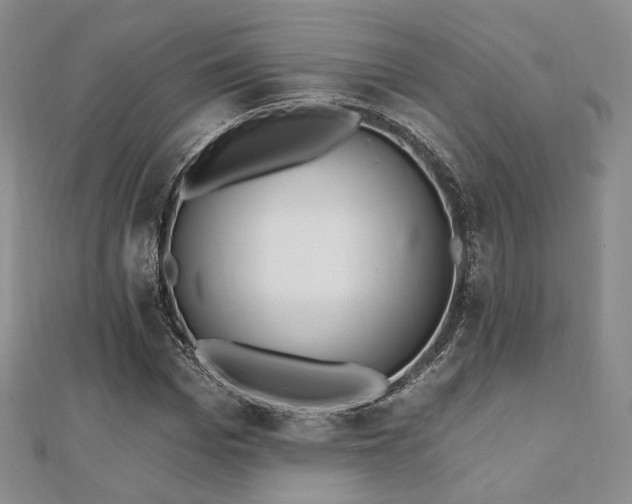 X0000110740969200906151100