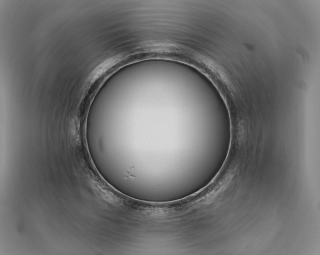 X0000110740970200906151100