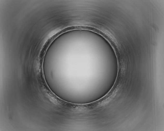 X0000110740974200906151100
