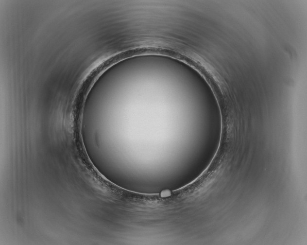 X0000110740975200906151100