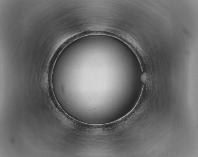 X0000110740976200906151100