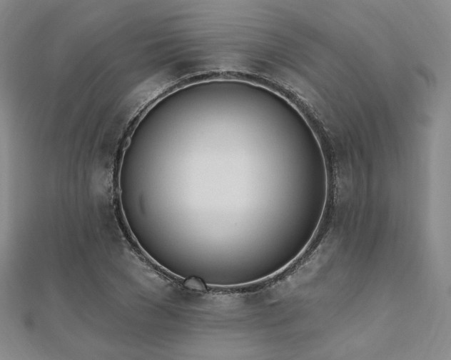 X0000110740977200906151100